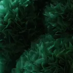 Sofie Aaldering, Stitched Garden