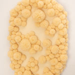 Sofie Aaldering, Orange Pompom