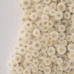 Hilde Trip, The Golden Wish