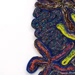 Simone Post, Wildflowers - Stars of the sea