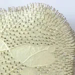 Beppe Kessler, A time of seeing