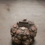 Frits Achten, Larveae 1