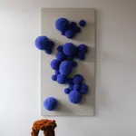 Sofie Aaldering, Early spring pompom