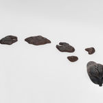 Rajni Perera, Swampgirly Study, 2025