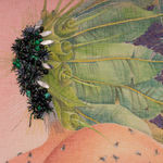 Rajni Perera, Swampgirly Study, 2025