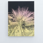 Andy Mister, Virginia Beach (before Sandy), 2020