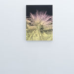 Andy Mister, Virginia Beach (before Sandy), 2020