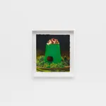 Laura Rokas, Don’t Make Me Beg, 2024