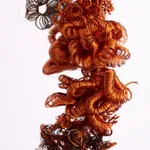 ektor garcia, torso, 2022