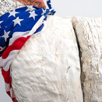 Dorian Reid, Wildfire, 2024