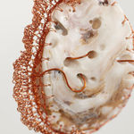 ektor garcia, dedicación, 2025