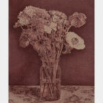 Andy Mister, Violet Arrangement, 2024