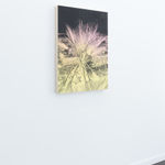 Andy Mister, Virginia Beach (before Sandy), 2020