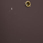 Mungo Thomson, July 23 1984 (Geraldine Ferraro A Historic Choice), 2020