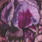 Georgia Michaelides Saad, Sinapis Arvensis III, 1999