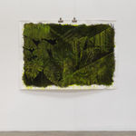 Zoë Wilkinson, I Dreamt of Woodgrain, 2024