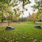 Rob and Nick Carter, Bronze Oak Grove, 2017