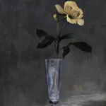 Rob and Nick Carter, Transforming Flower in a Champagne Glass, 2025