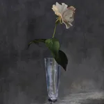 Rob and Nick Carter, Transforming Flower in a Champagne Glass, 2025