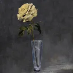 Rob and Nick Carter, Transforming Flower in a Champagne Glass, 2025