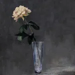 Rob and Nick Carter, Transforming Flowersin a Champagne Glass, 2025