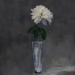 Rob and Nick Carter, Transforming Flower in a Champagne Glass, 2025