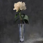 Rob and Nick Carter, Transforming Flower in a Champagne Glass, 2025