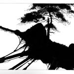 Roger Dean, MAGICIANS BIRTHDAY 2nd MAGICIAN, 2018