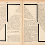 Marinda Vandenheede, Pars Pro Toto - Breach of Trust, 2021