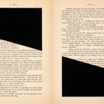 Marinda Vandenheede, Pars Pro Toto - Breach of Trust, 2021