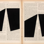 Marinda Vandenheede, Pars Pro Toto - Breach of Trust, 2021