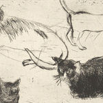 Elizabeth Blackadder RSA, Poppy Study, 2011