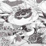 Studio IMA, The Croft, Opinan (a), 2025