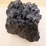 Edward Summerton RSA, War Pigs