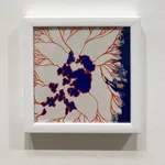 Glen Onwin RSA, Green fuse, 2020