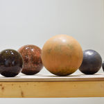 Michał Staszczak, (D)evolution, 2021