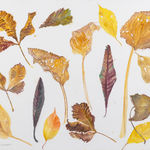 John Houston RSA, Cliffs at Étretat, 1986