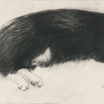 Elizabeth Blackadder RSA, Lilies and Poppies, 2003