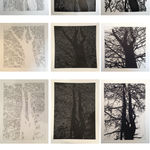 Margarita Cabrera, Uplift - Bird #134 (Suite 1A), Hare & Hound Press, San Antonio, TX, 2019