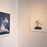 Daniela Oliver de Portillo, Hidden Blooms VI, 2025