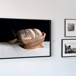 Cecilia Paredes, Animal de mi Tiempo: Armadillo, 2002