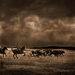 Rahm Carrington, Escaramuzas Esperando, 2019