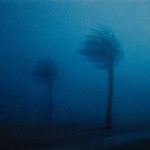 Steffen Kern, Two Palm Tress, 2025