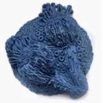 Erum Aamir, Vespera, 2026