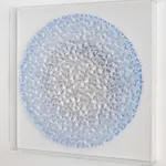 Charles Patrick, ZAP, 2017