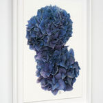 Liam Gerrard, Golden Terrace, Frankton, 2025