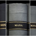 Mickey Smith, TIME & AGAIN #25, 2022