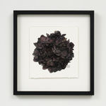 Liam Gerrard, Golden Terrace, Frankton, 2025