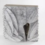 Mahdieh Abolhasan, Within, 2020