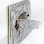 Mahdieh Abolhasan, Within, 2020